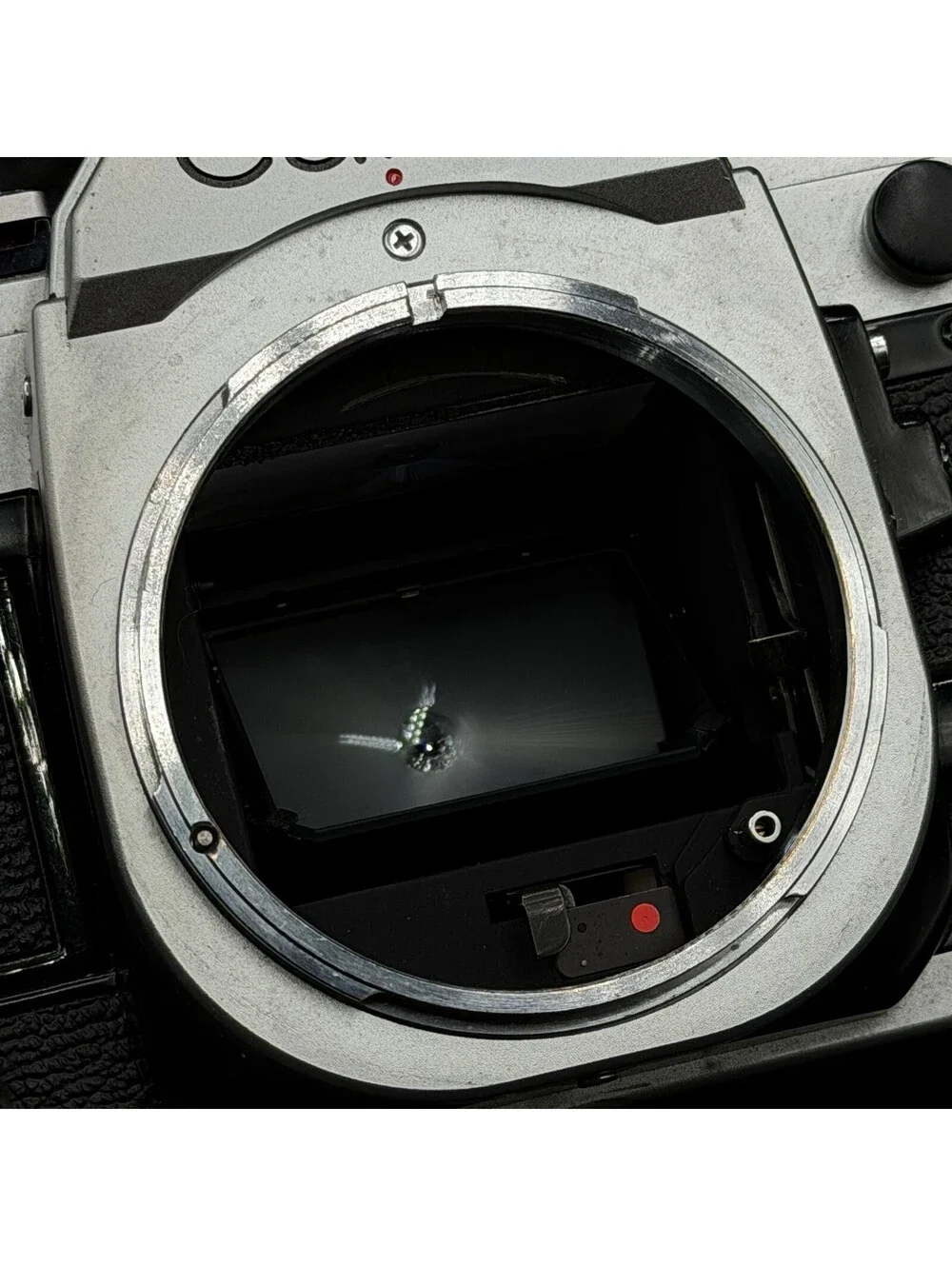 Canon AE-1 Program 35mm Film Camera Body Only - Film Tested